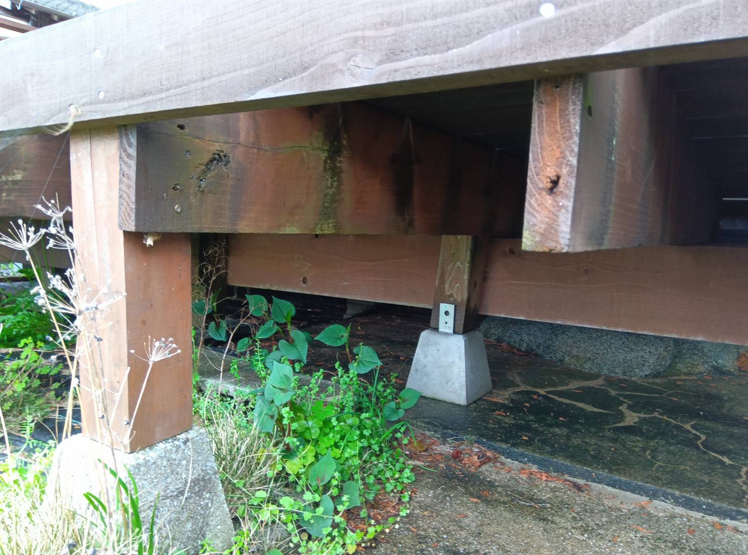 シロアリ 水巻町