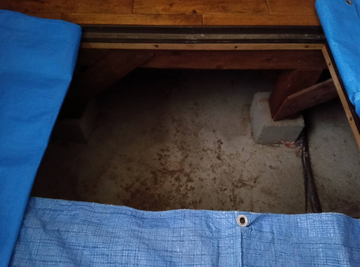 シロアリ 水巻町