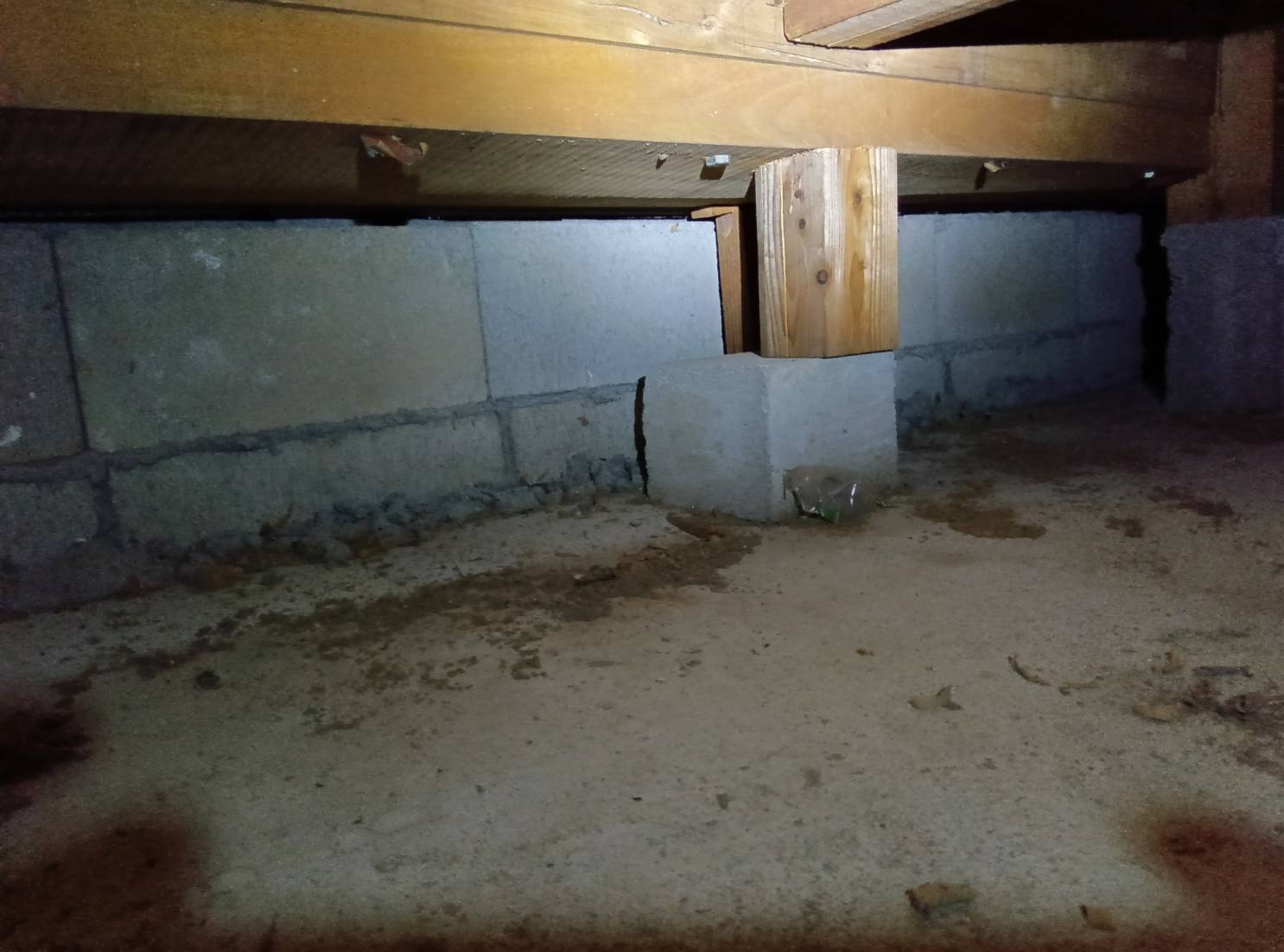 シロアリ 水巻町