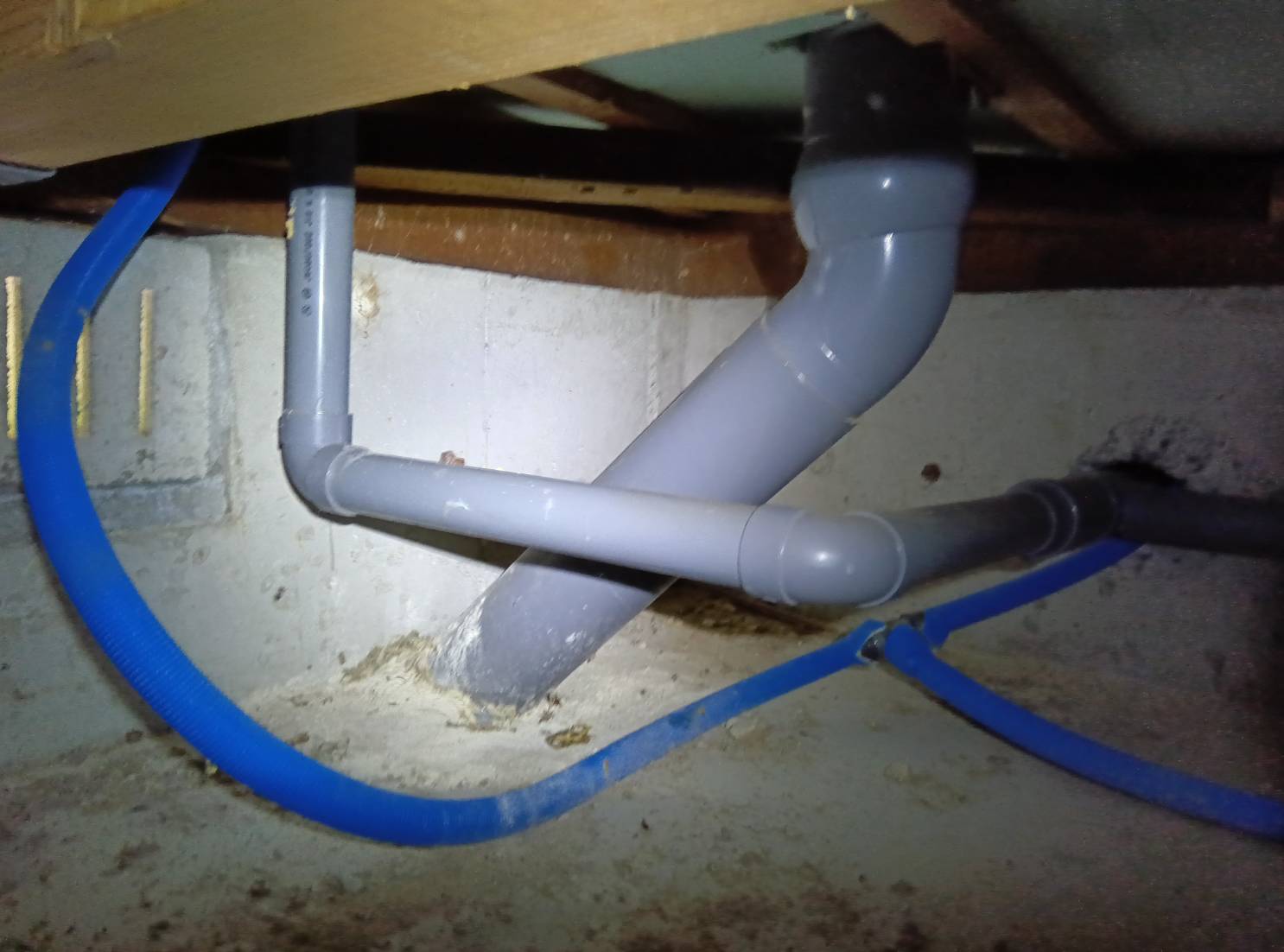 シロアリ 水巻町