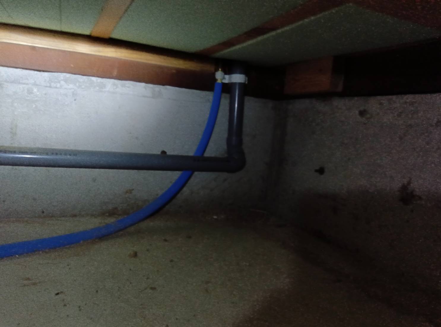 シロアリ 水巻町