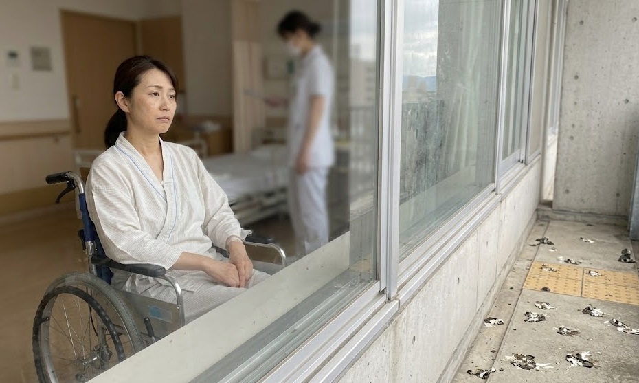 ハト 病院 北九州市