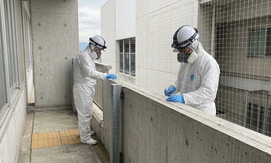 ハト 病院 北九州市