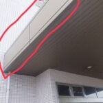 小倉の医療施設にハトが！フン被害の事例紹介