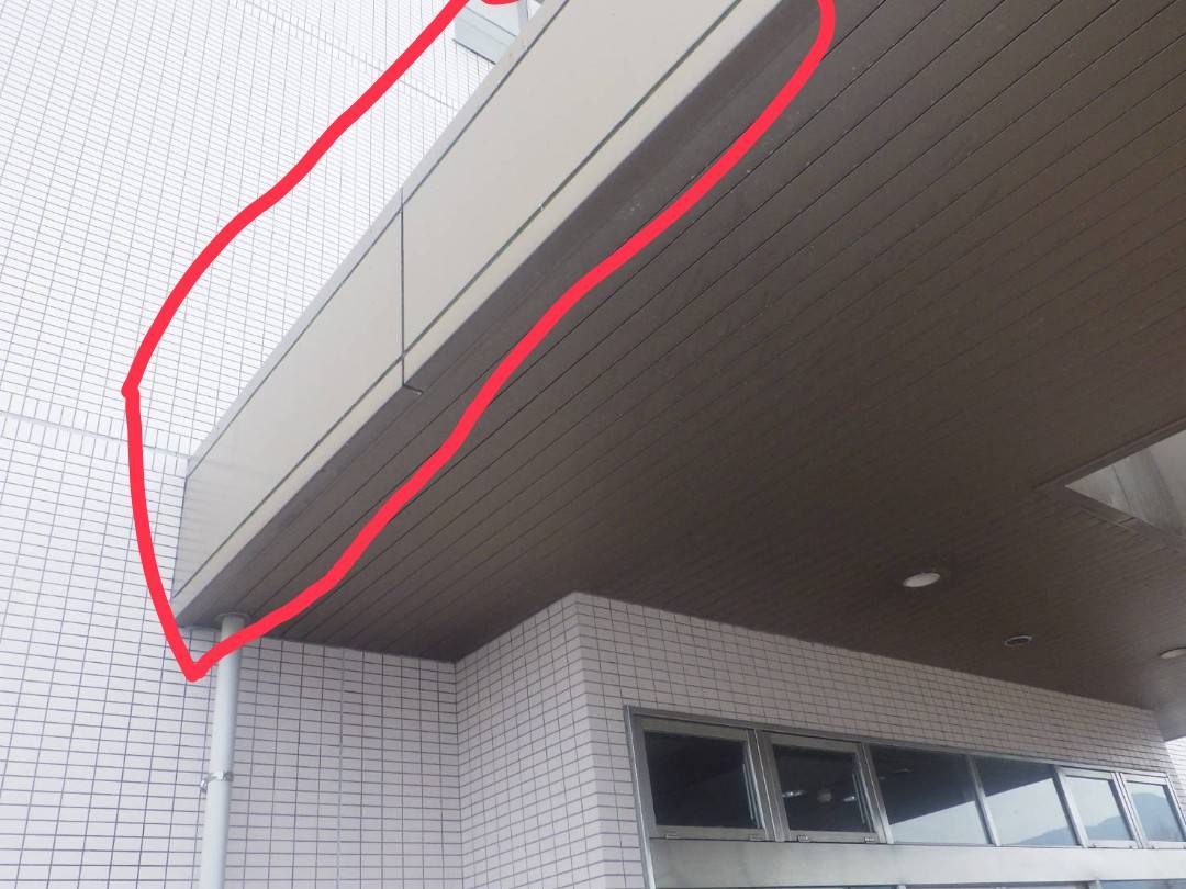 ハト　フン　小倉