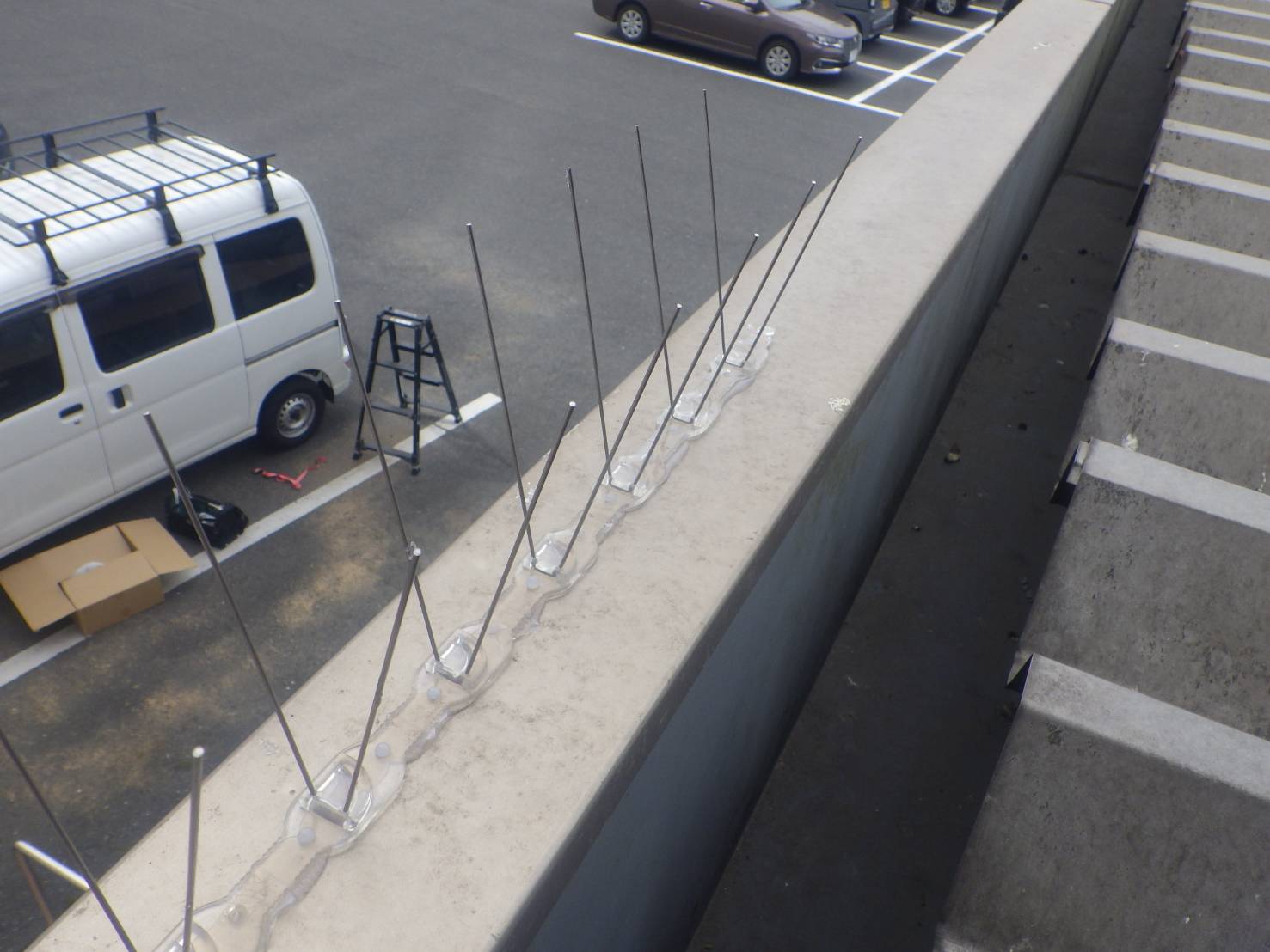 バードスパイク