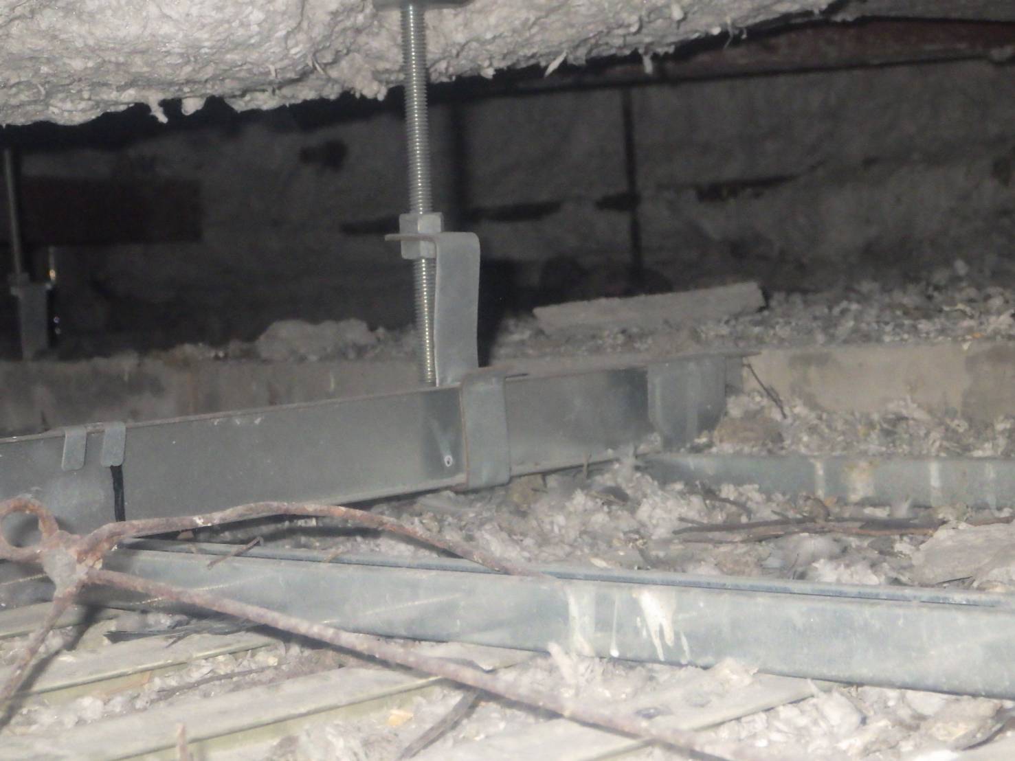 ハト　フン　小倉