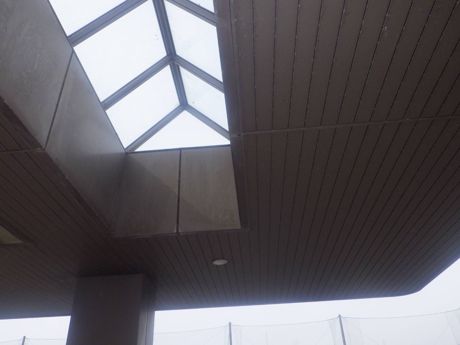 ハト　フン　小倉