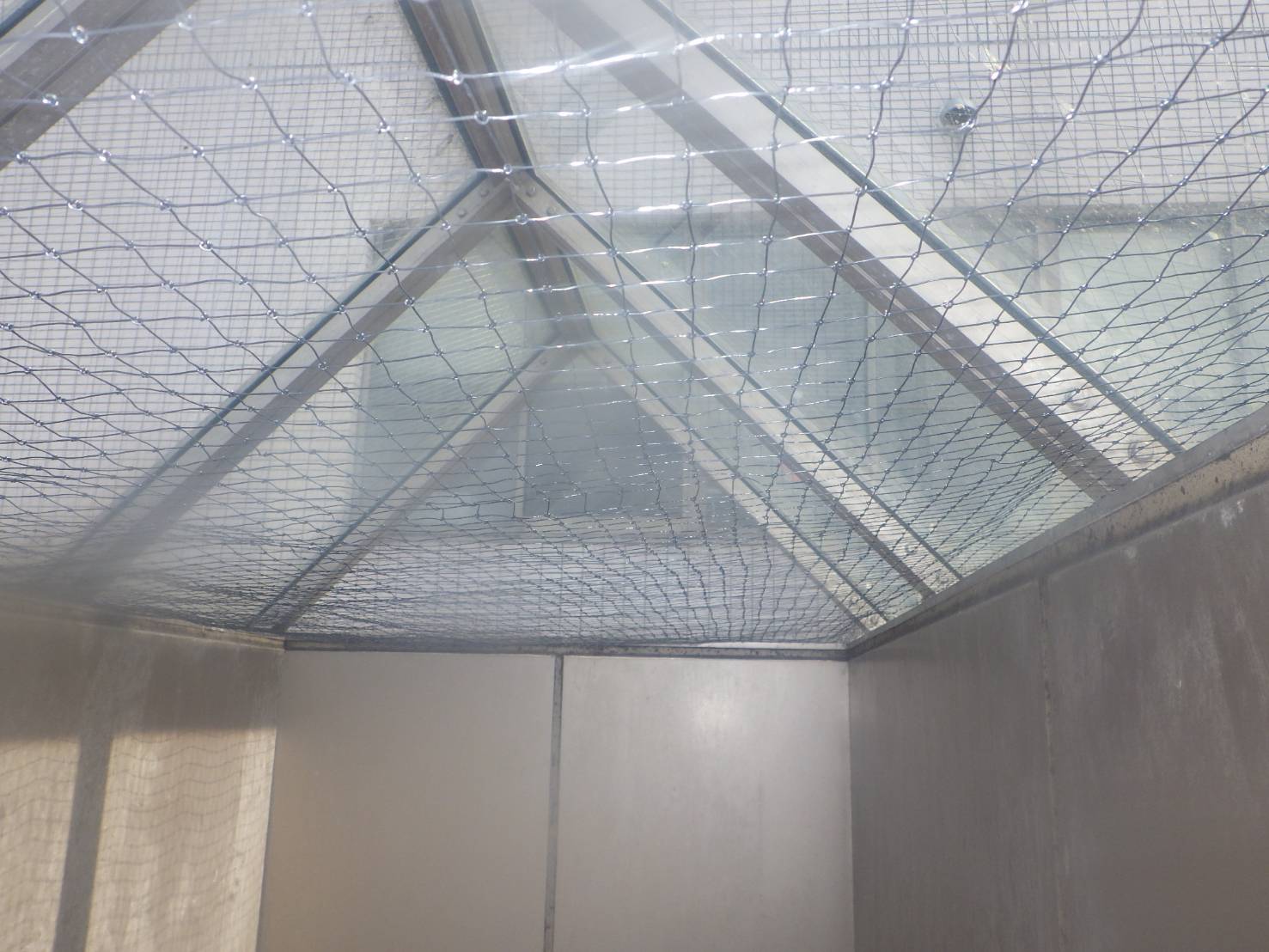 天窓に鳩避けネット取り付け