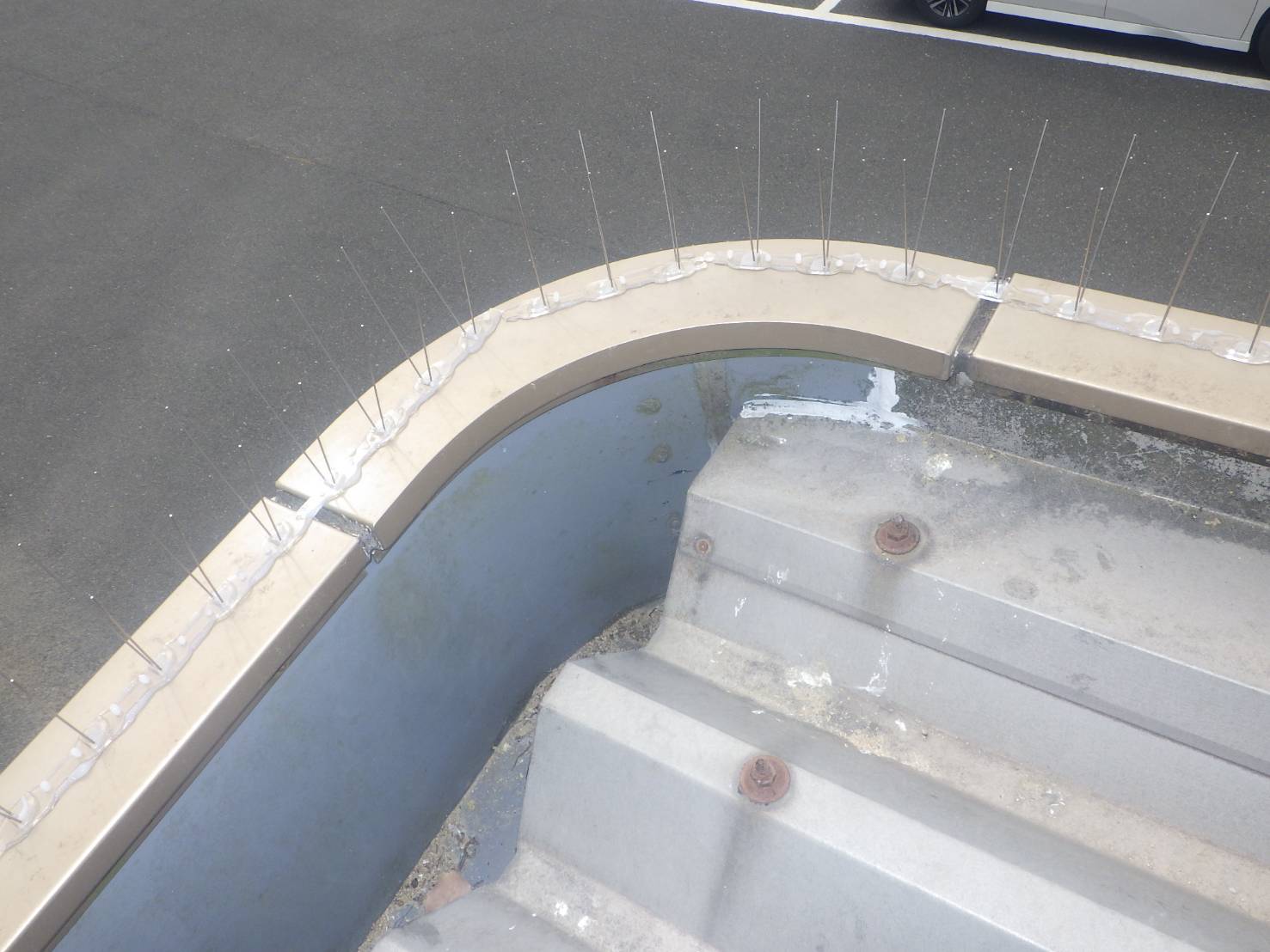 ハト　フン　小倉