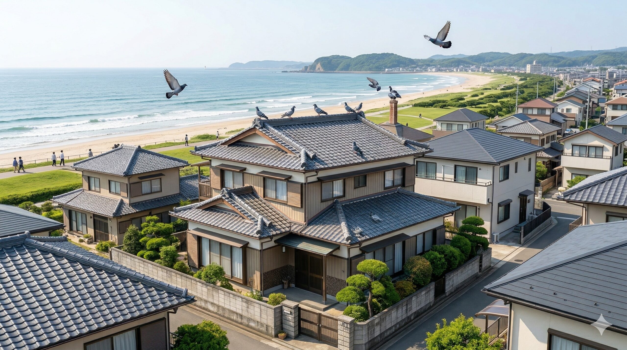 ハト 一軒家 福津市