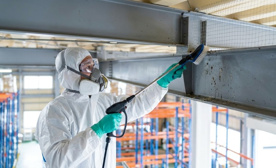 防護服を着用した日本人専門業者が、倉庫内の高所にこびりついた大量のハトのフンを専用薬剤と高圧洗浄機で徹底的に清掃・消毒する様子。