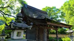 ハト駆除 神社 北九州市