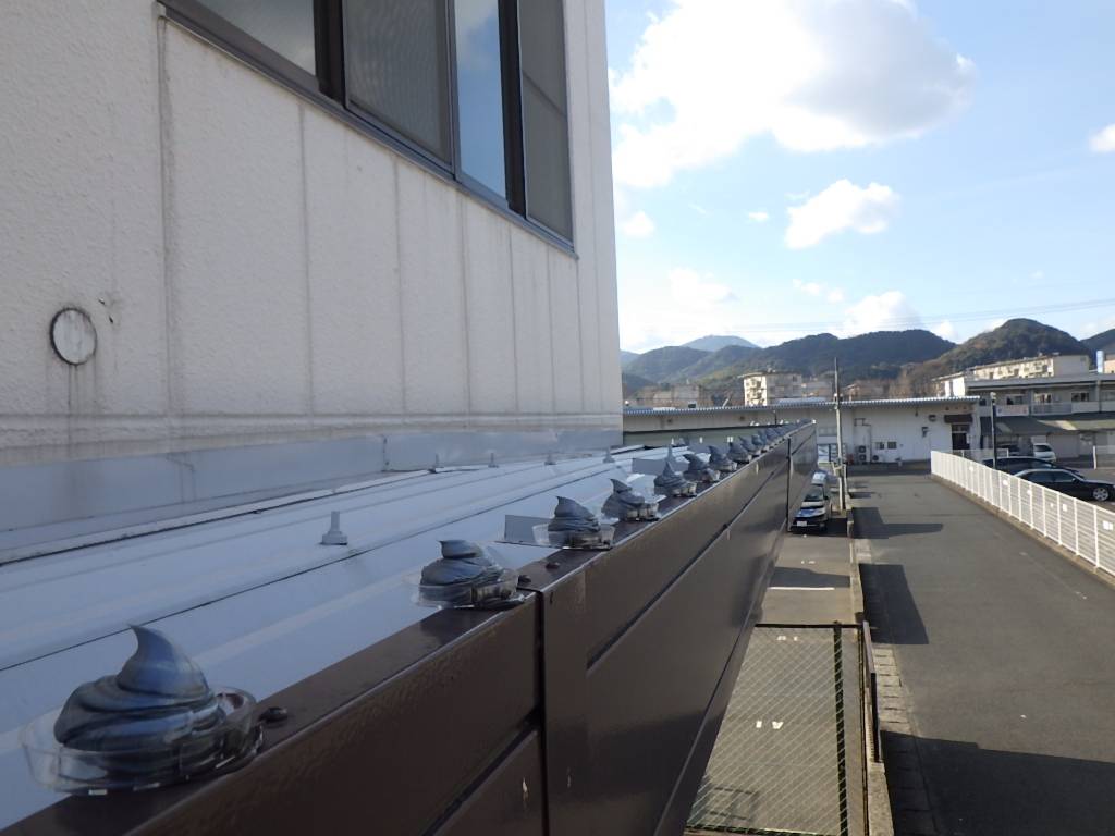 ハト 事務所 北九州市 フン