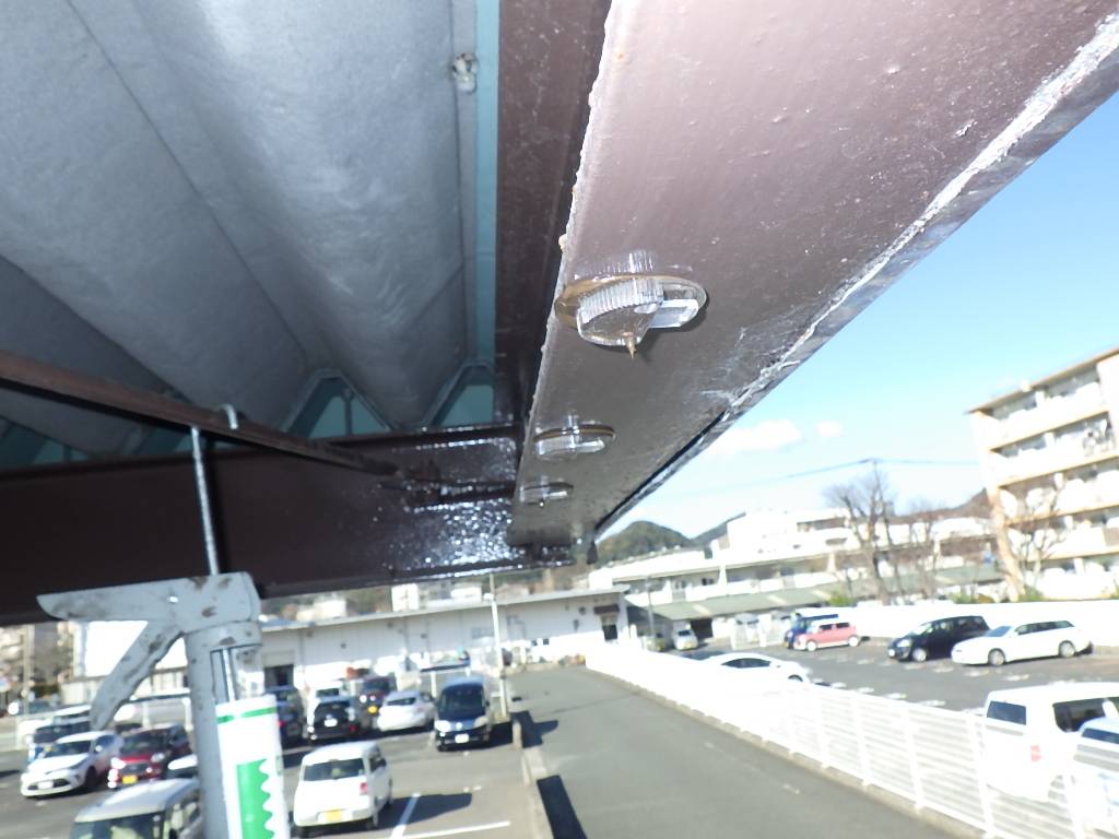 ハト 事務所 北九州市 フン