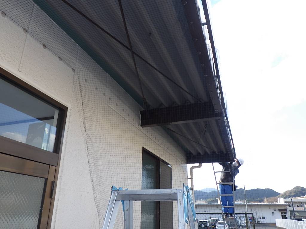 ハト 事務所 北九州市 フン