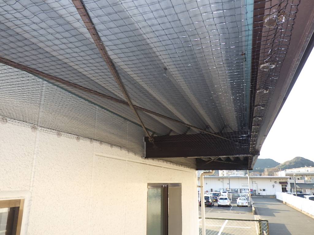 ハト 事務所 北九州市 フン