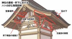 ハト 神社　お寺 北九州市