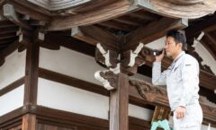 ハト駆除　神社　お寺