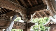 ハト駆除　神社　お寺