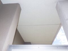 ハト　マンション　福岡市城南区