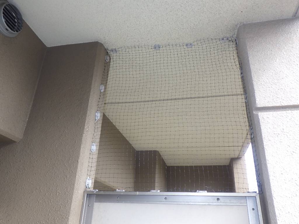 ハト　マンション　福岡市城南区