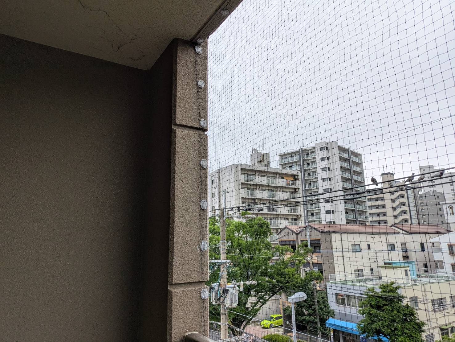 ハト　マンション　福岡市城南区