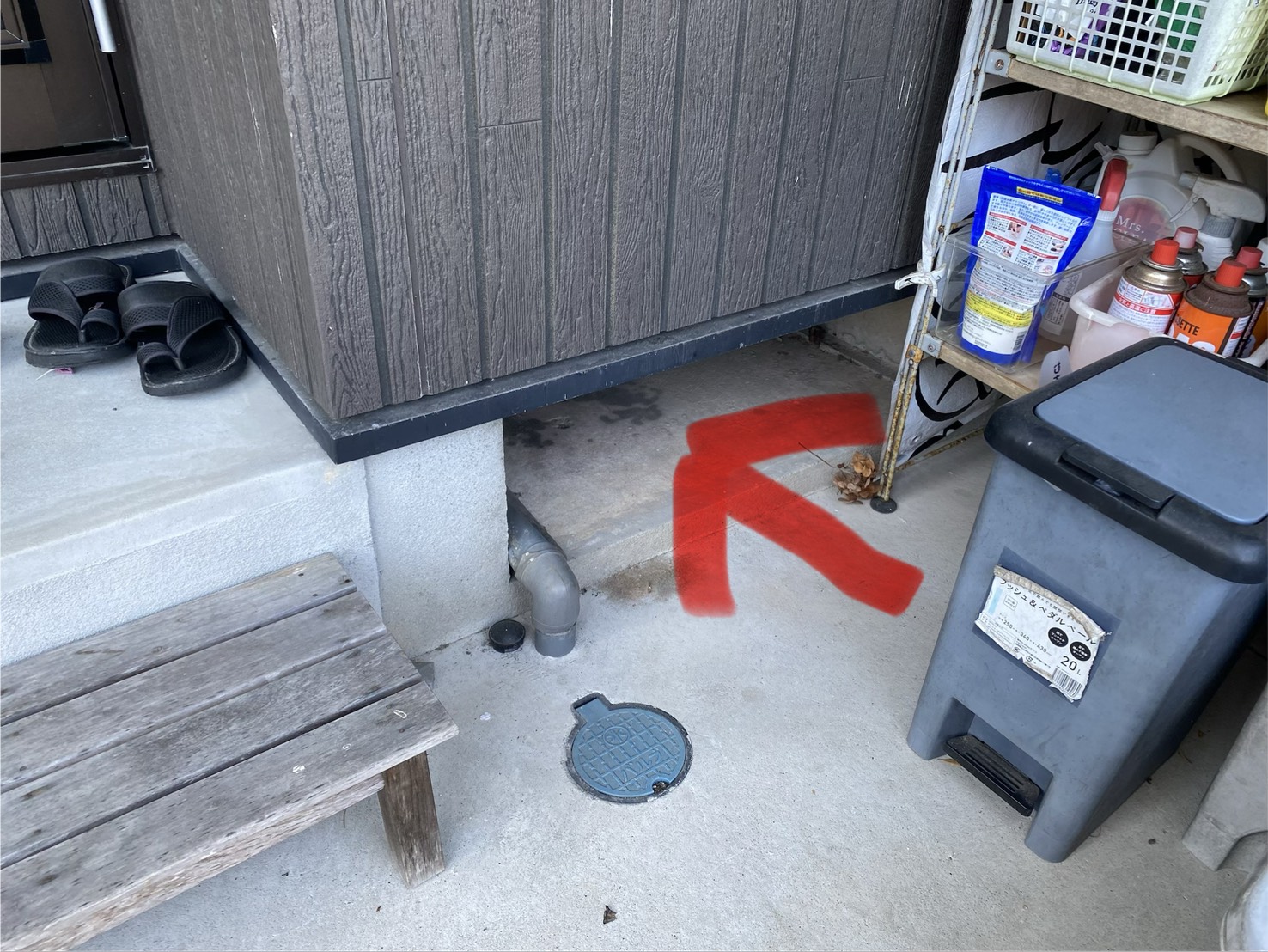 アライグマ侵入　小倉