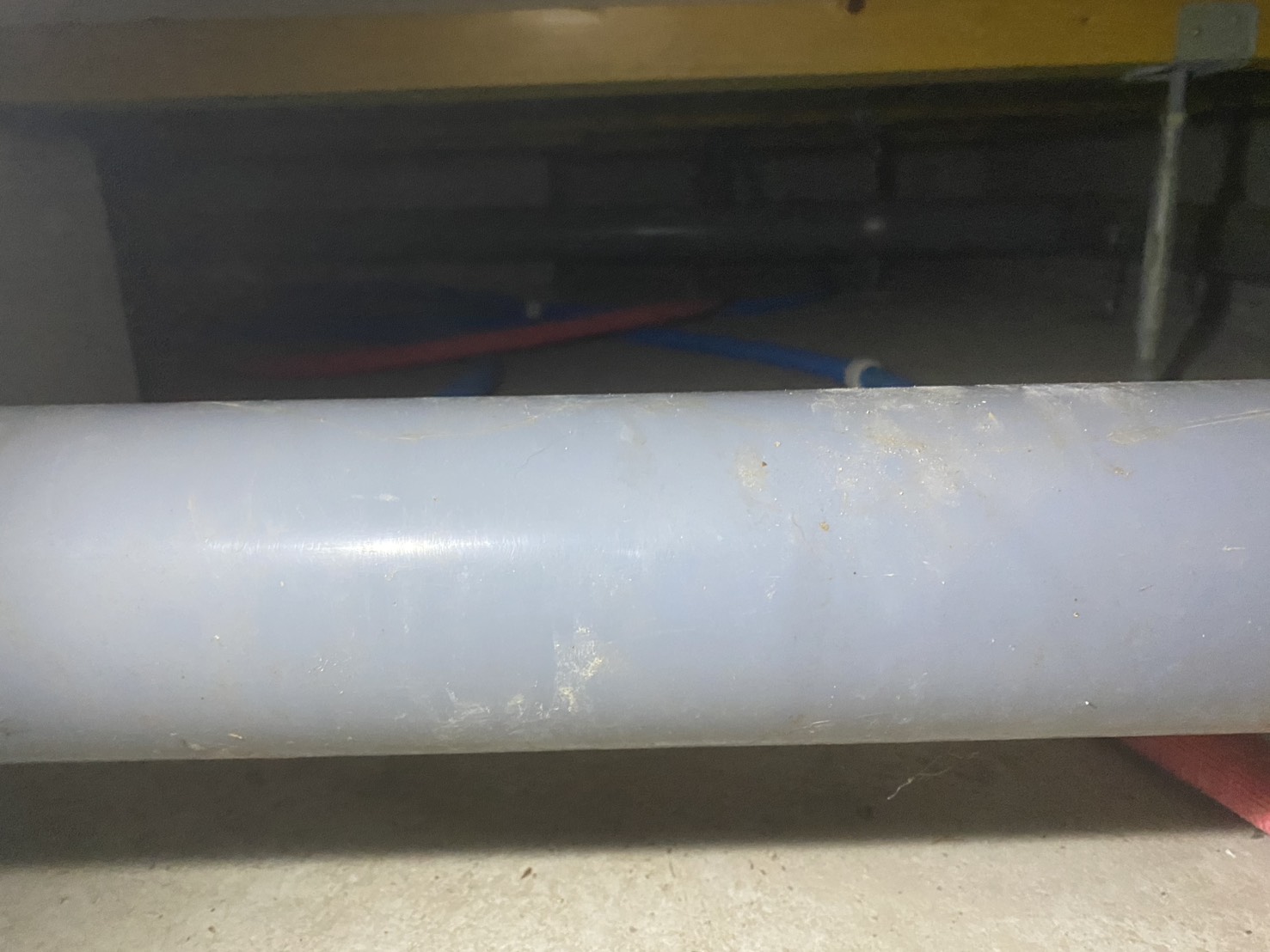 アライグマ侵入　小倉