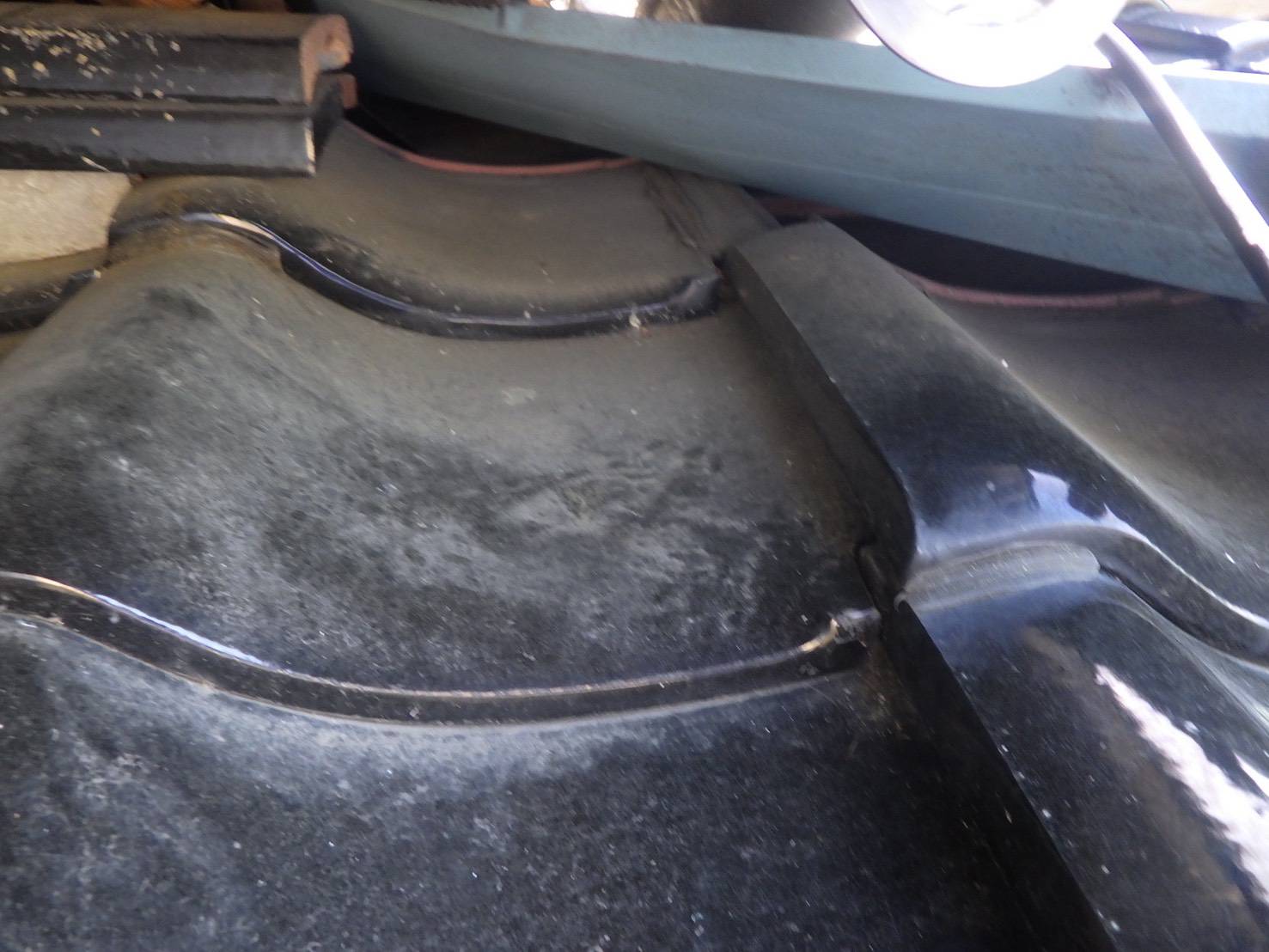 アライグマ　天井　小竹町