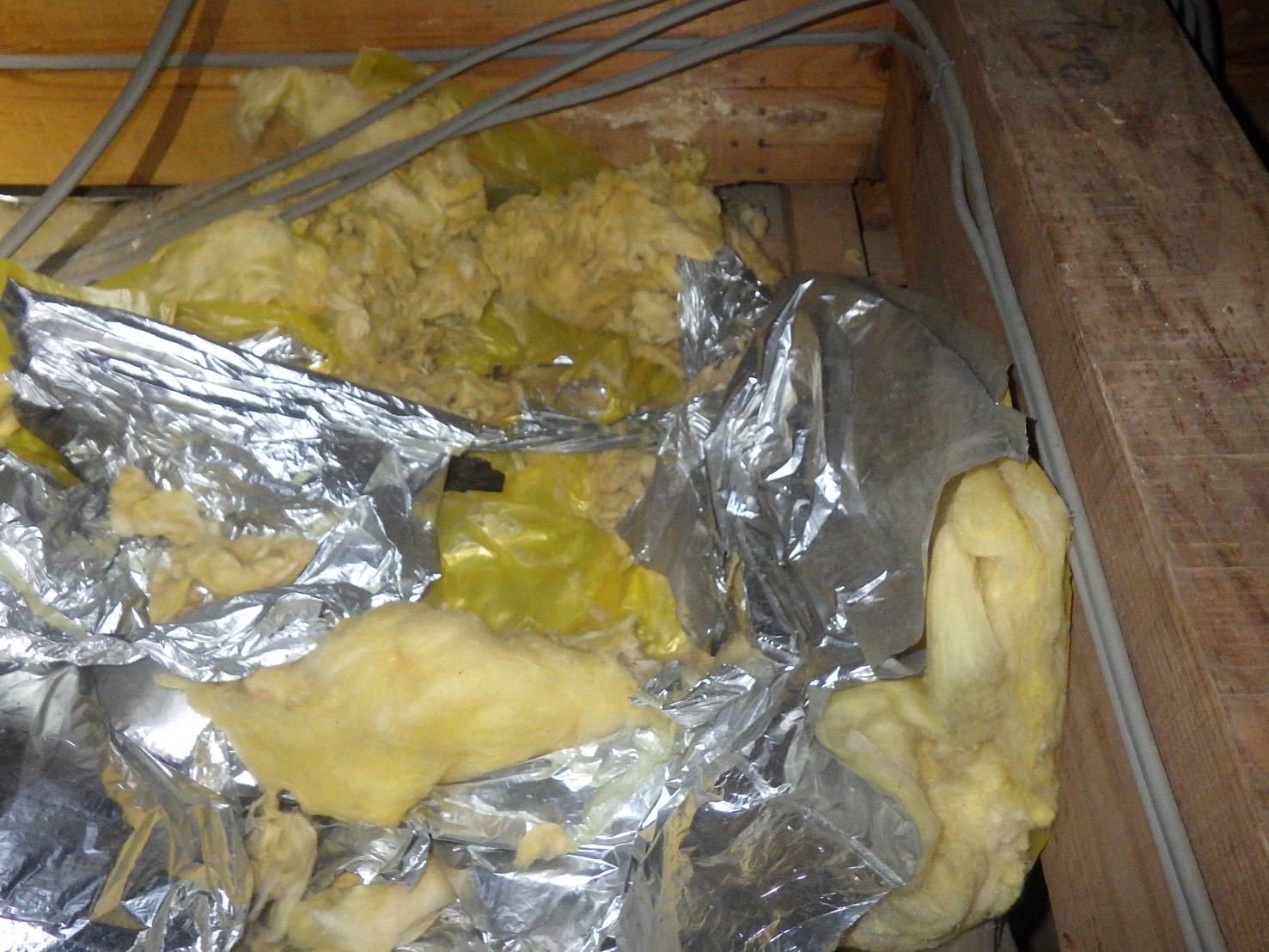 アライグマ　天井　小竹町