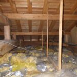 小竹町で天井からアライグマの足音が！イタチもいた！事例紹介