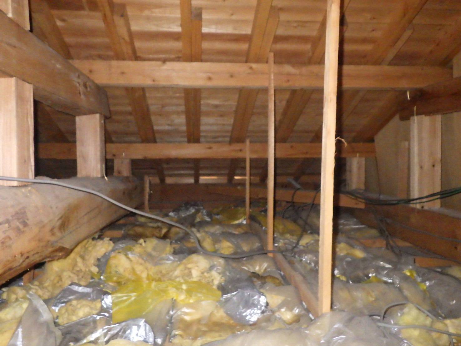 アライグマ　天井　小竹町