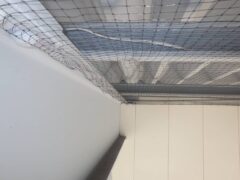 ハト 物流センター 北九州市