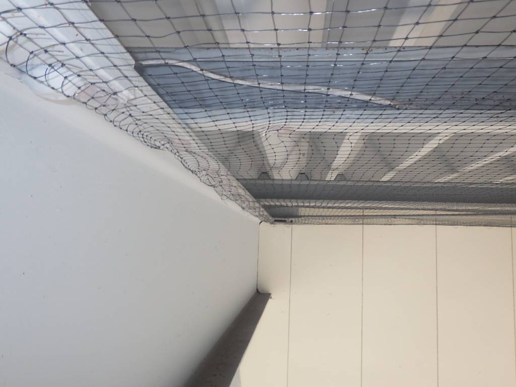 ハト　スーパー　遠賀郡