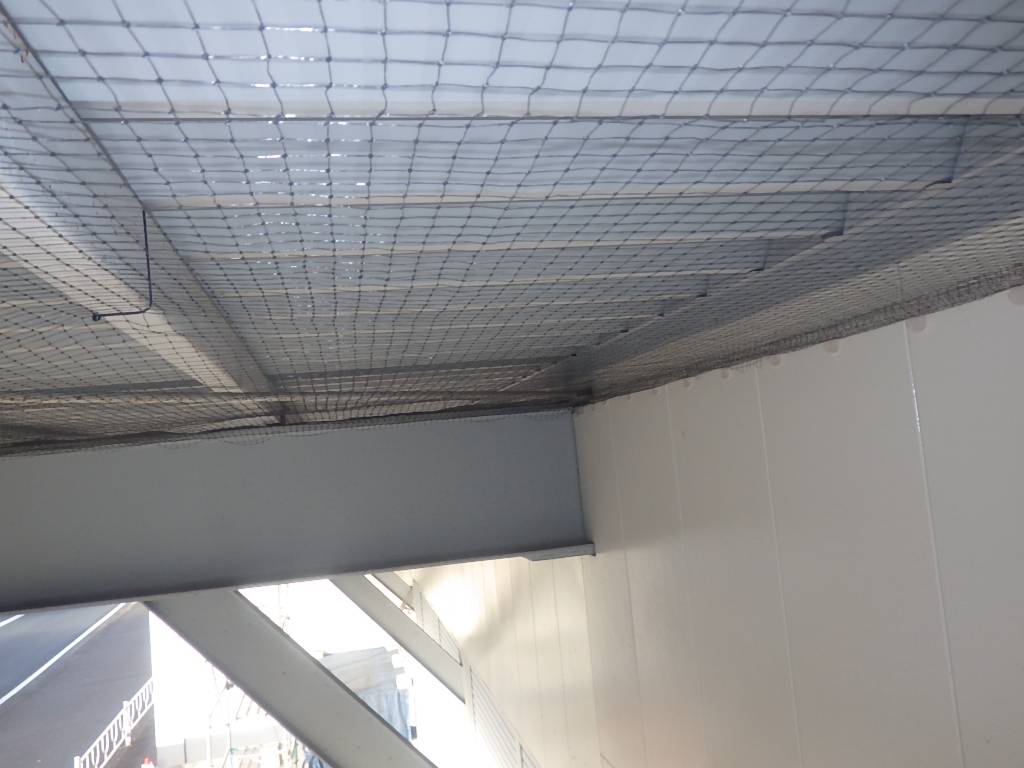 ハト　スーパー　遠賀郡