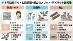 ハト 公共施設 宗像市