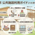 宗像市の公共施設でハト被害！正しい相談窓口と3つの自衛策を解説