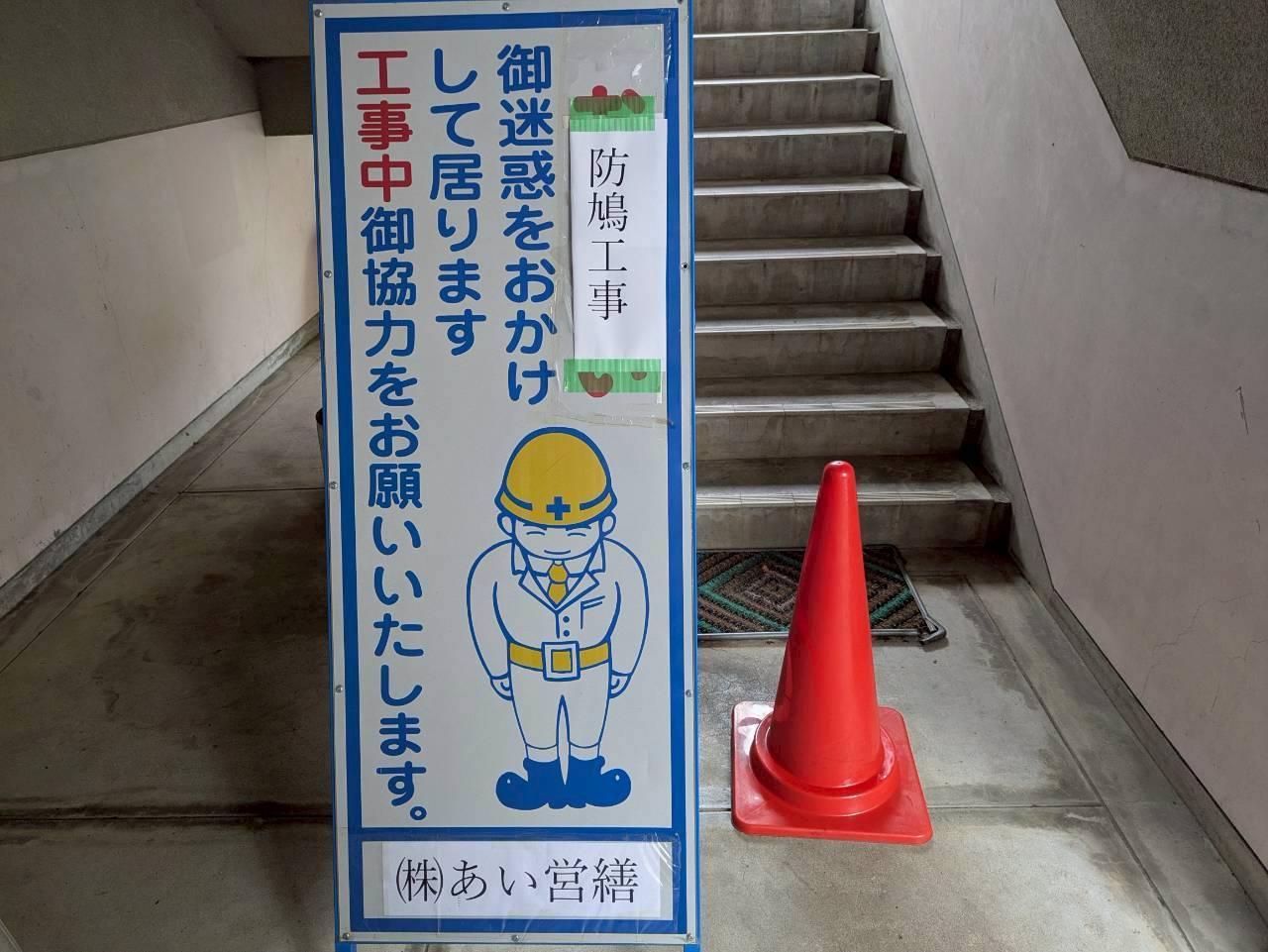 ハト　ビル　フン　福岡市