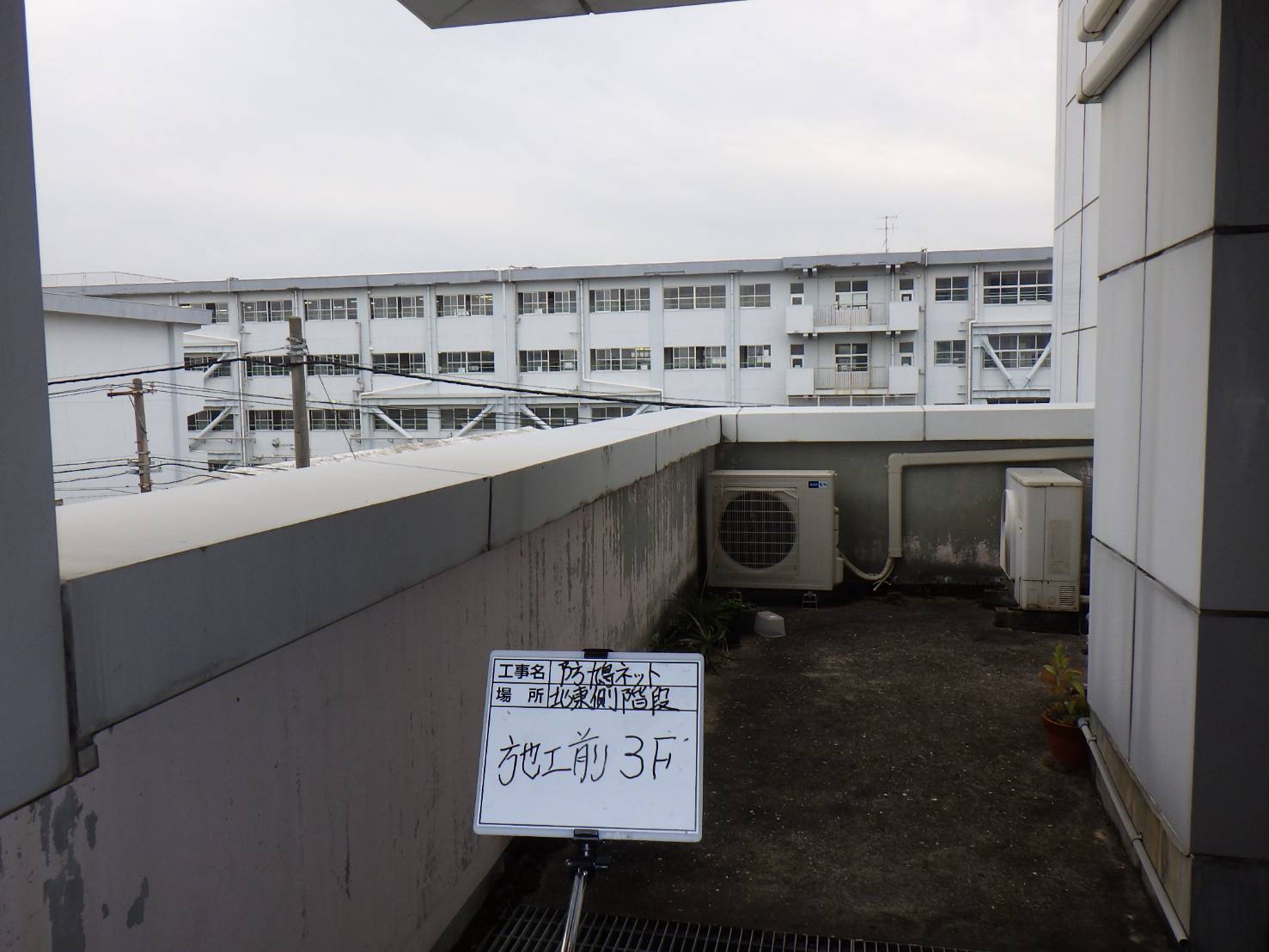 ハト　ビル　フン　福岡市