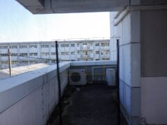 ハト　ビル　フン　福岡市