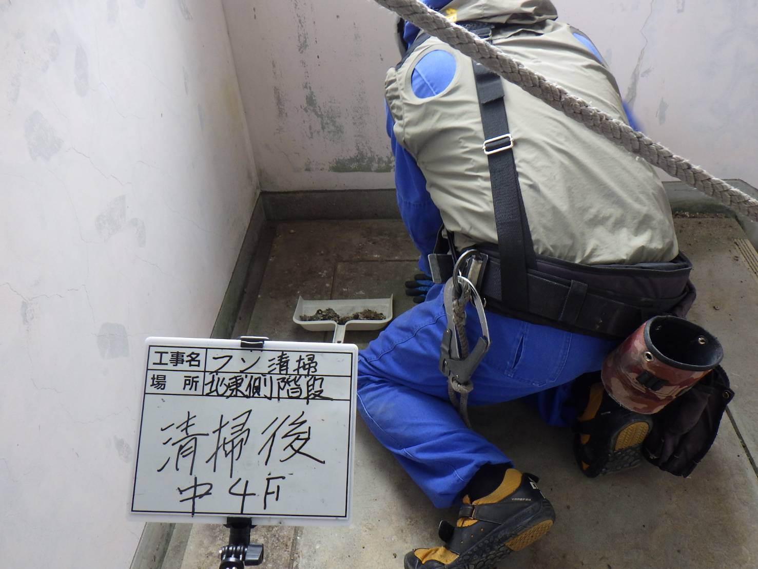 ハト　ビル　フン　福岡市