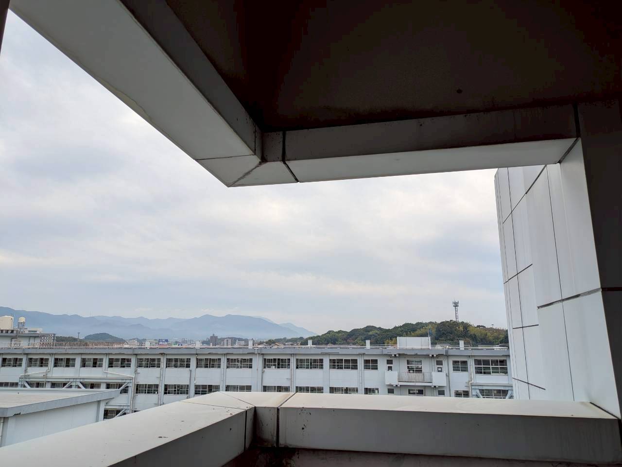 ハト　ビル　フン　福岡市