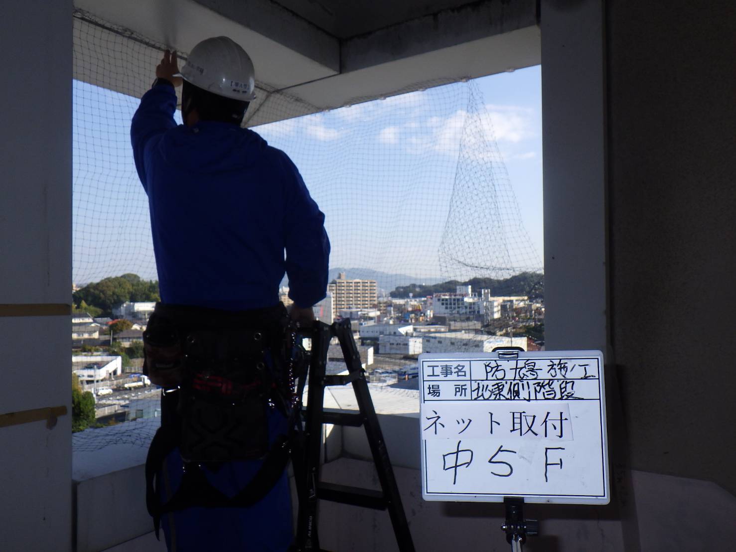 ハト　ビル　フン　福岡市
