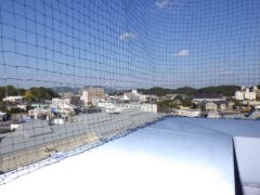 ハト 太陽光パネル 福岡市東区