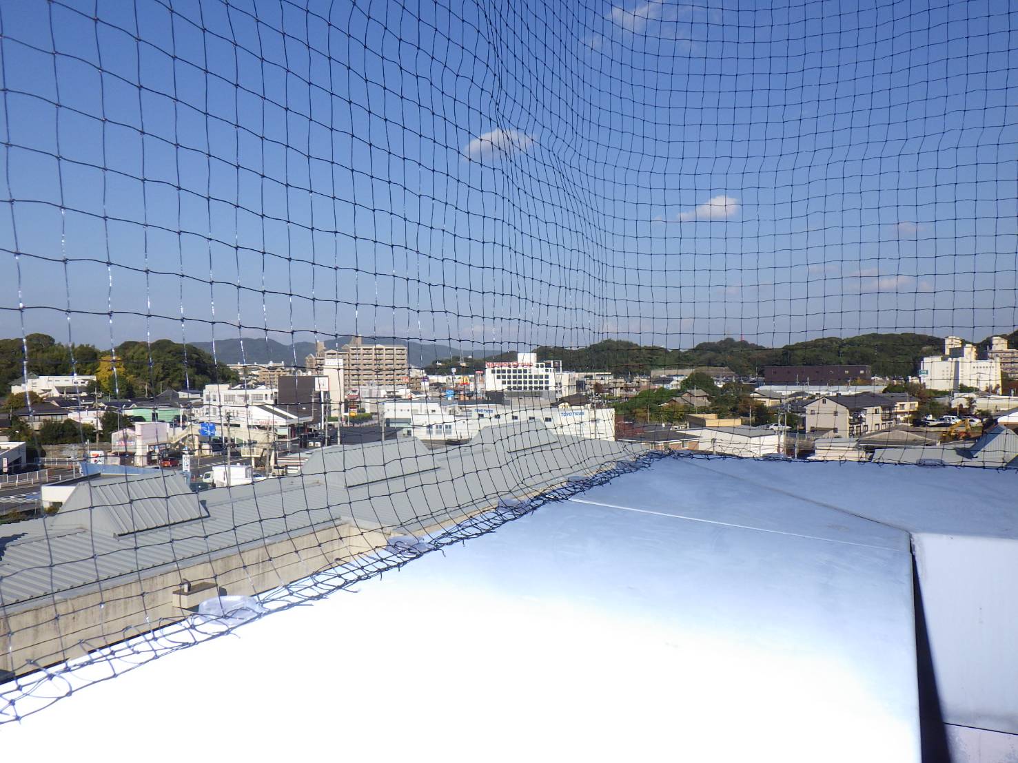 ハト　ビル　フン　福岡市