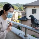 小郡市でハトのフン被害を防ぐ！安全な自力対策と優良業者の選び方