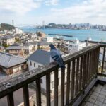 下関市の一軒家でハト被害！放置の危険性とプロの駆除業者の選び方