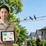 ハト被害に悩む新宮町の一軒家必見！自力で解決できない理由と撃退法