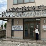 北九州市の事務所でハト被害の事例紹介